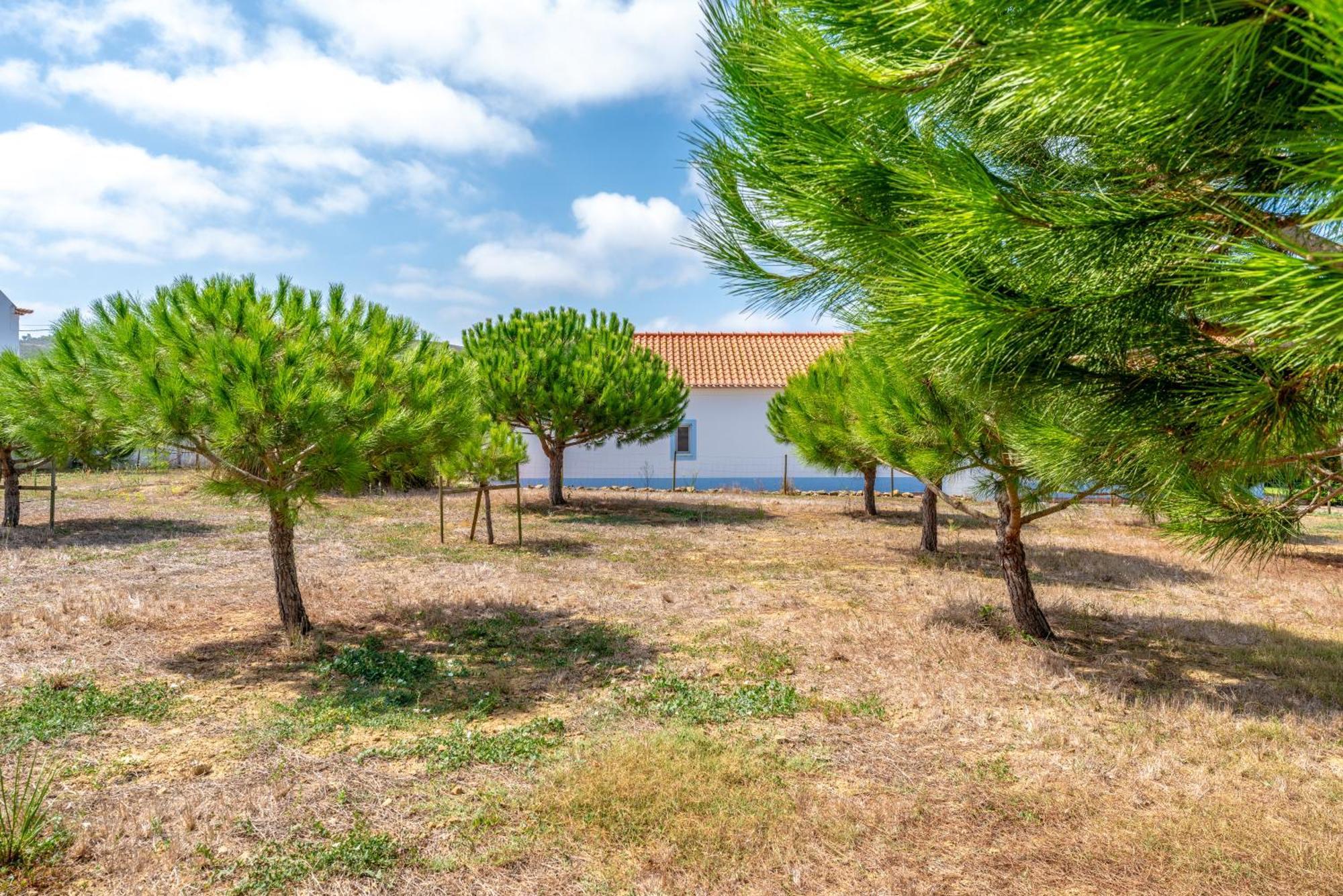 Quinta Da Bela Vista - Ericeira Villa Galiza Exterior foto